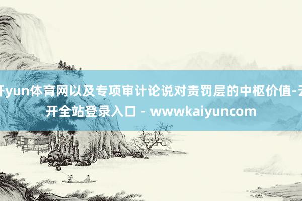 开yun体育网以及专项审计论说对责罚层的中枢价值-云开全站登录入口 - wwwkaiyuncom